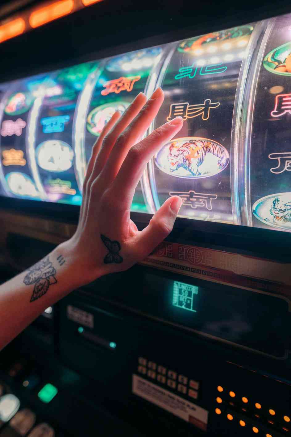 winitbet